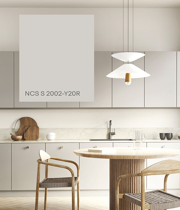 Soft Greige NCS S 2002-Y20R