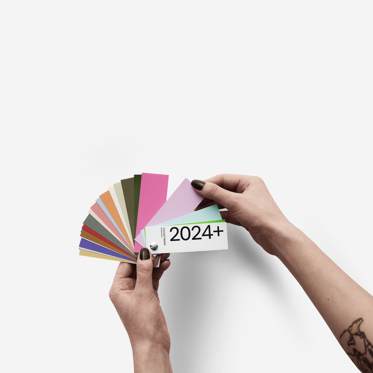 Hands holding Trend 2024+ Fan Deck