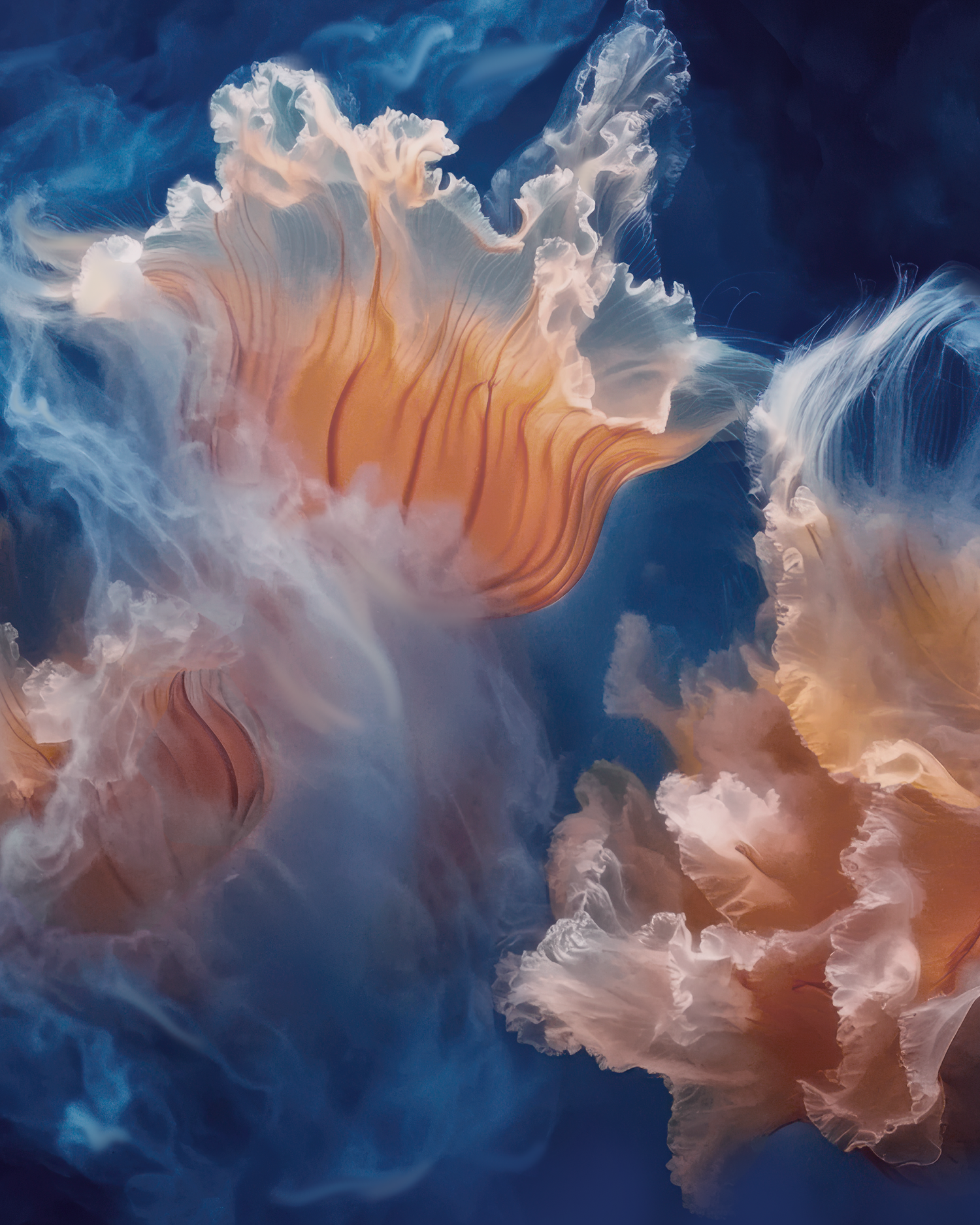 Symbiosis