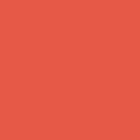 S 1070-Y80R – NCS Colour