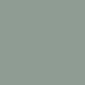 S 4005-G