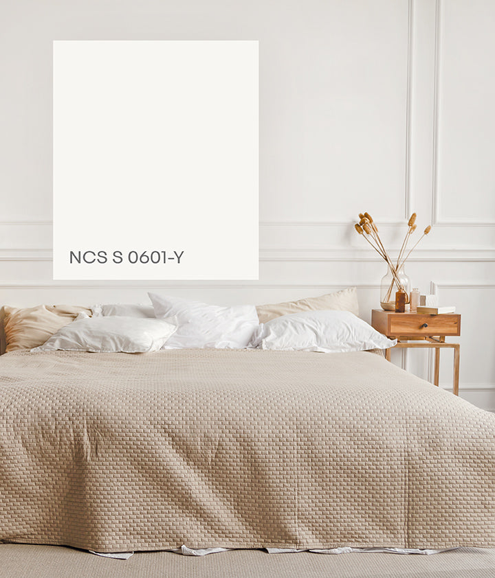 White Delight NCS S 0601-Y