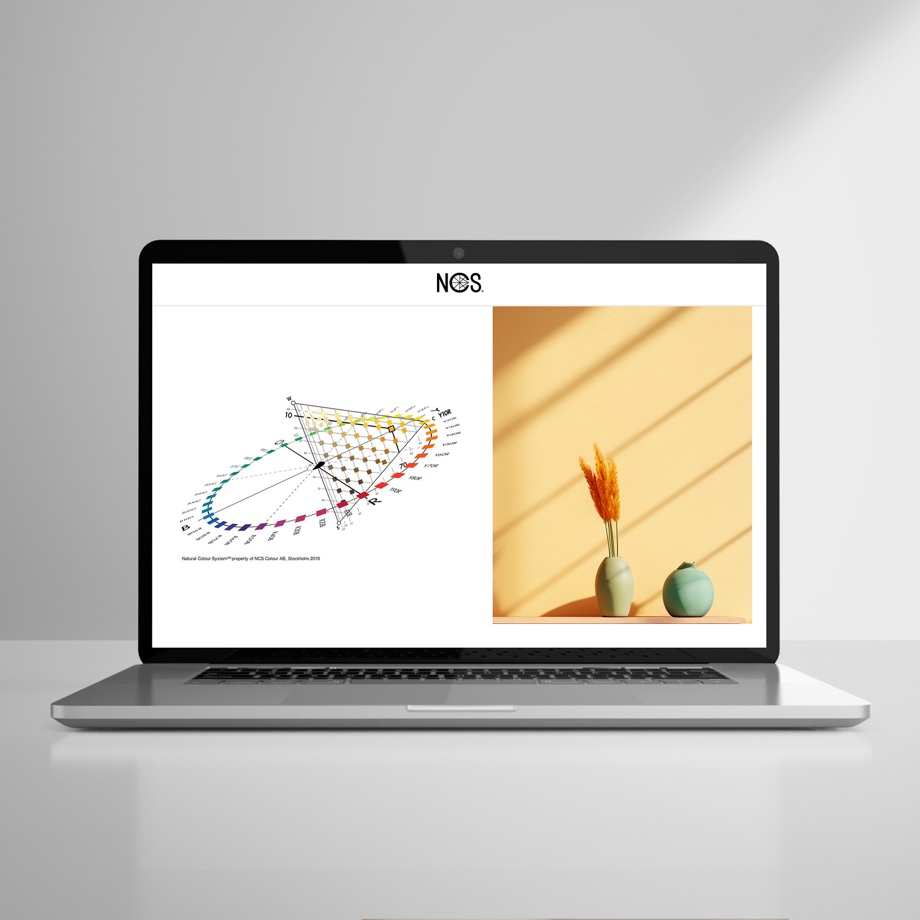S 7010-G10Y – NCS Colour