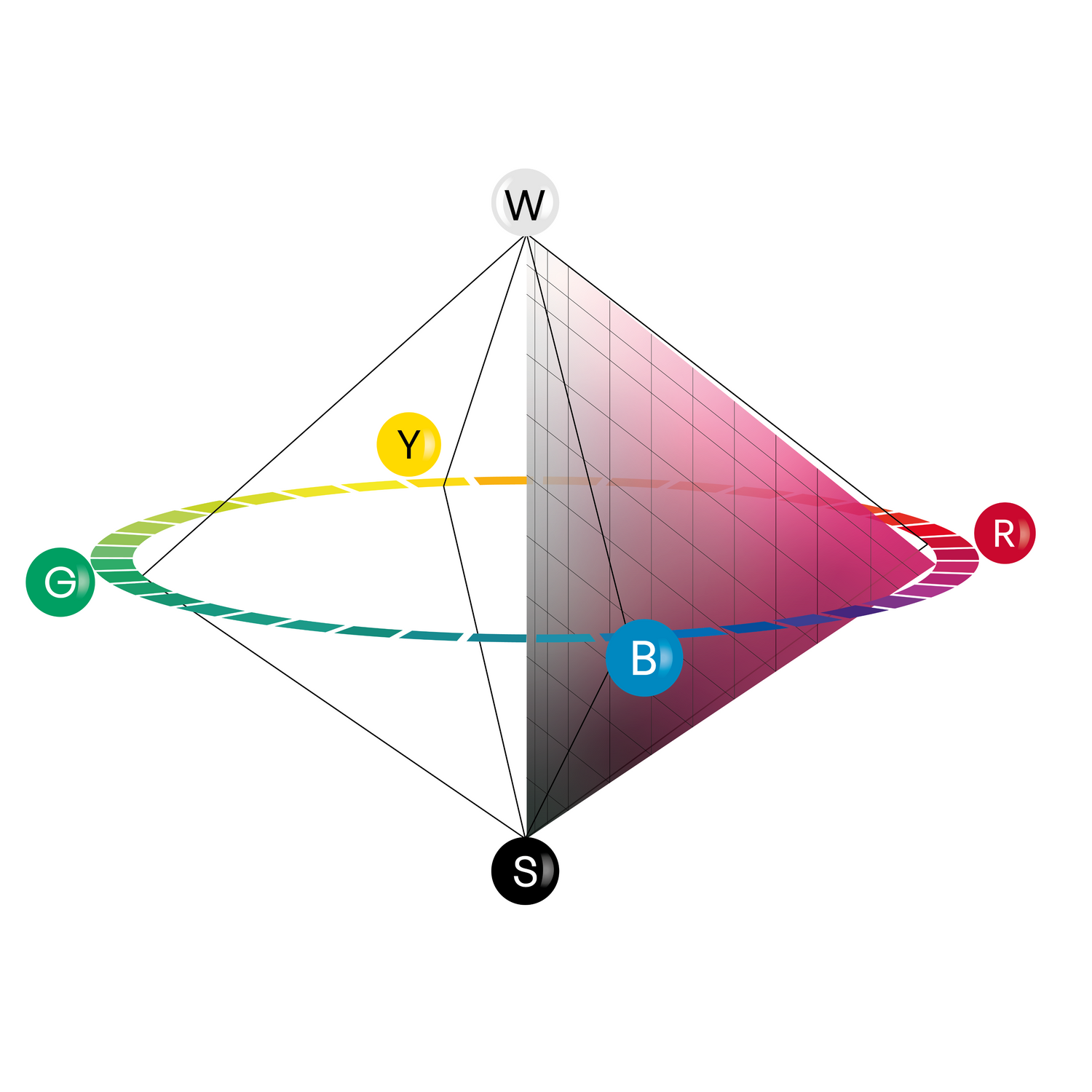 NCS Colour Space