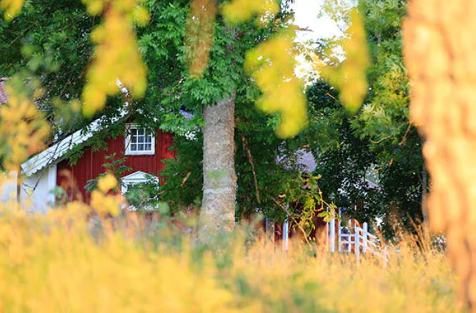 Exteriör färgsättning i norra Sverige