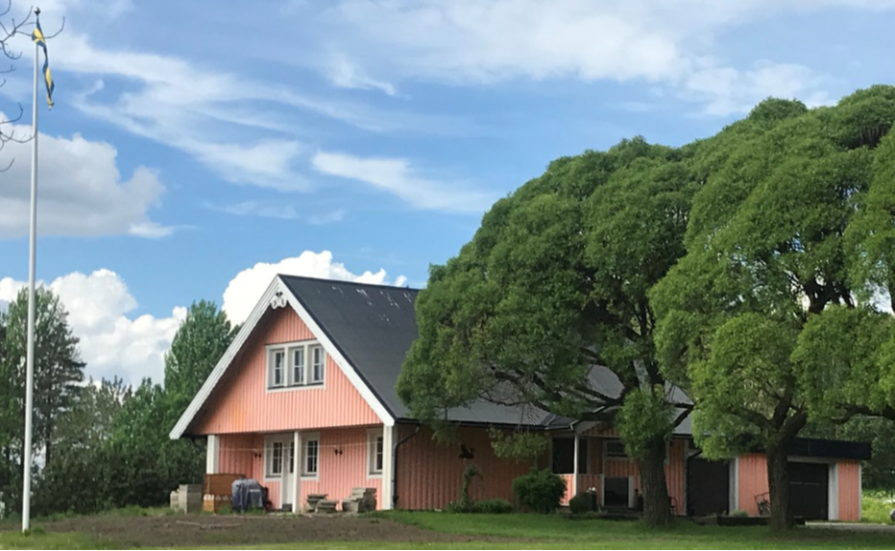Pink house 