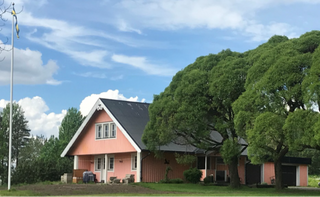 Pink house 