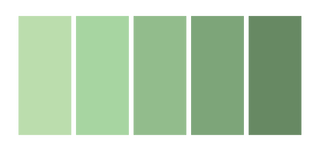 Cascade no 174/142