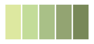 Cascade no 181/143