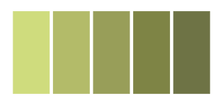 Cascade no 189/170