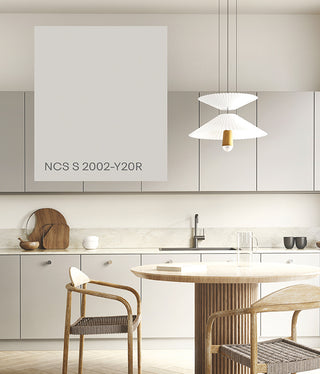 Soft Greige NCS S 2002-Y20R