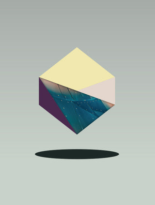   TREND DIRECTION Re-genesis