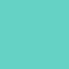 S 1040-B70G