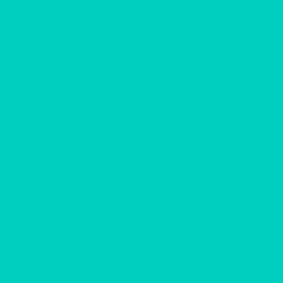 S 1050-B70G
