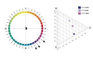 Colour circle showing three different hues and colour triangle showing 3 different nuances that are close related